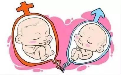 有偿同志借卵怎么选